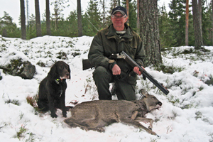 Hirsch